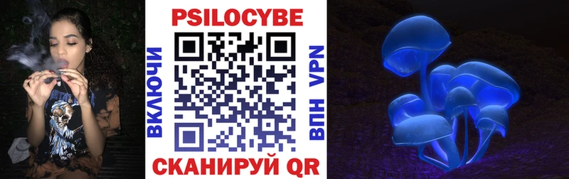 как найти закладки  mega зеркало  Галлюциногенные грибы Cubensis  Спасск 