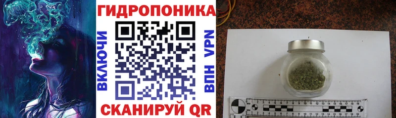 наркошоп  Спасск  Шишки марихуана ГИДРОПОН 